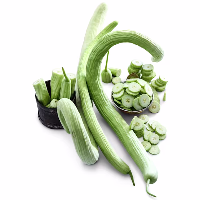 Indian Snake Cucumber