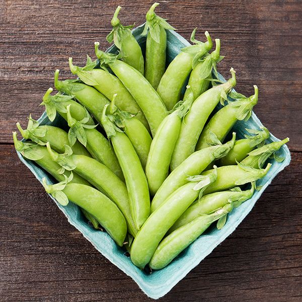 Cascadia Snap Pea