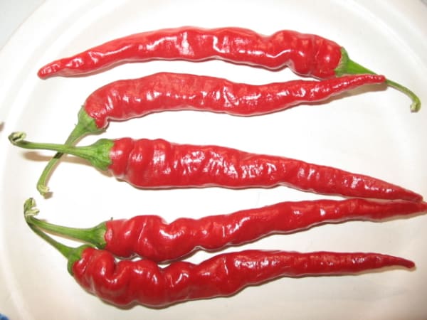 Long Red Narrow Cayenne Pepper