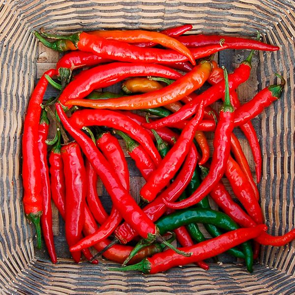 Ring of Fire Cayenne Hot Pepper