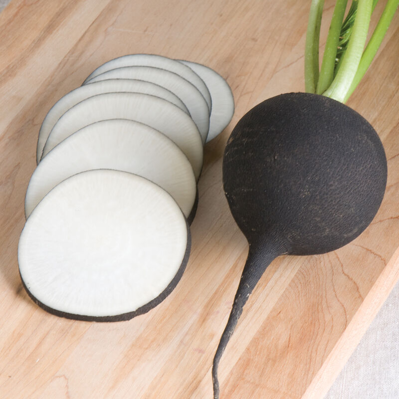 Nero Tundo Radish