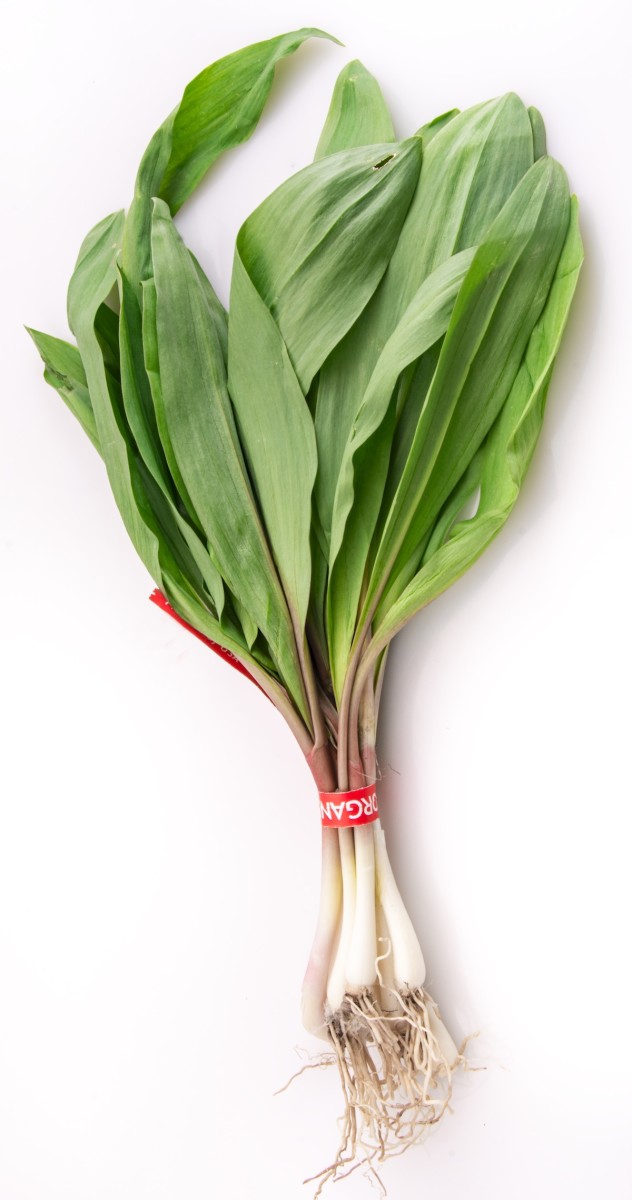 Ramps Ramps