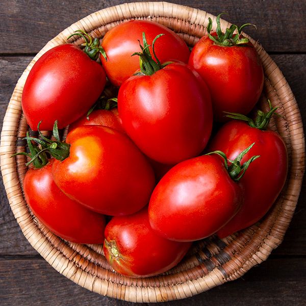 Paste Tomato