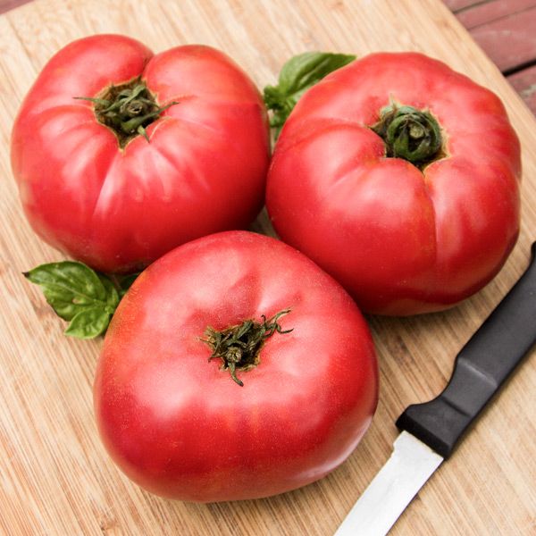 Prudence Purple Tomato