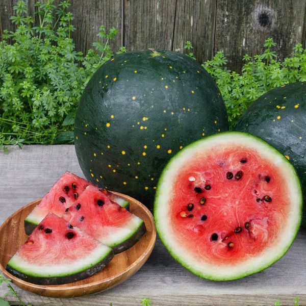 Moon and Star Watermelon