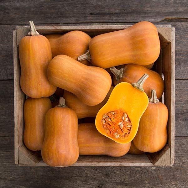 Honey Nut Butternut Winter Squash