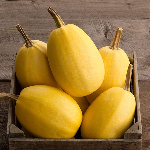 Spaghetti Winter Squash