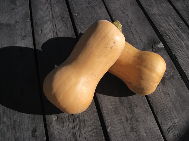 Waltham Winter Squash