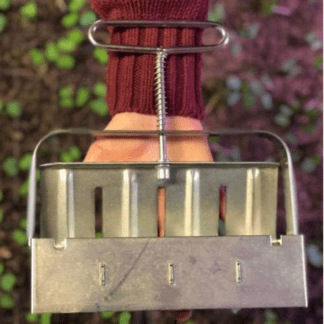 Chateaurenard Cabbage